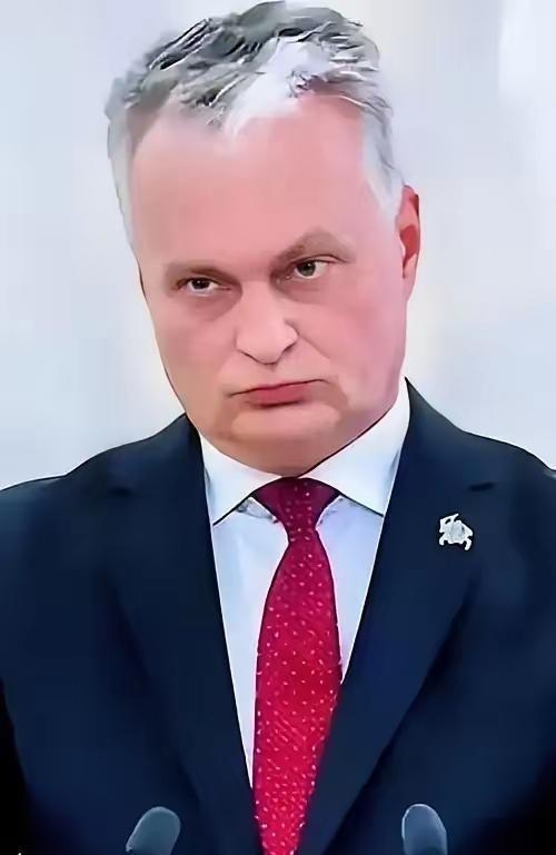 近日，立陶宛总统瑙塞达在接受采访时声称，中方因为台湾问题“无理打压”立陶宛多年，