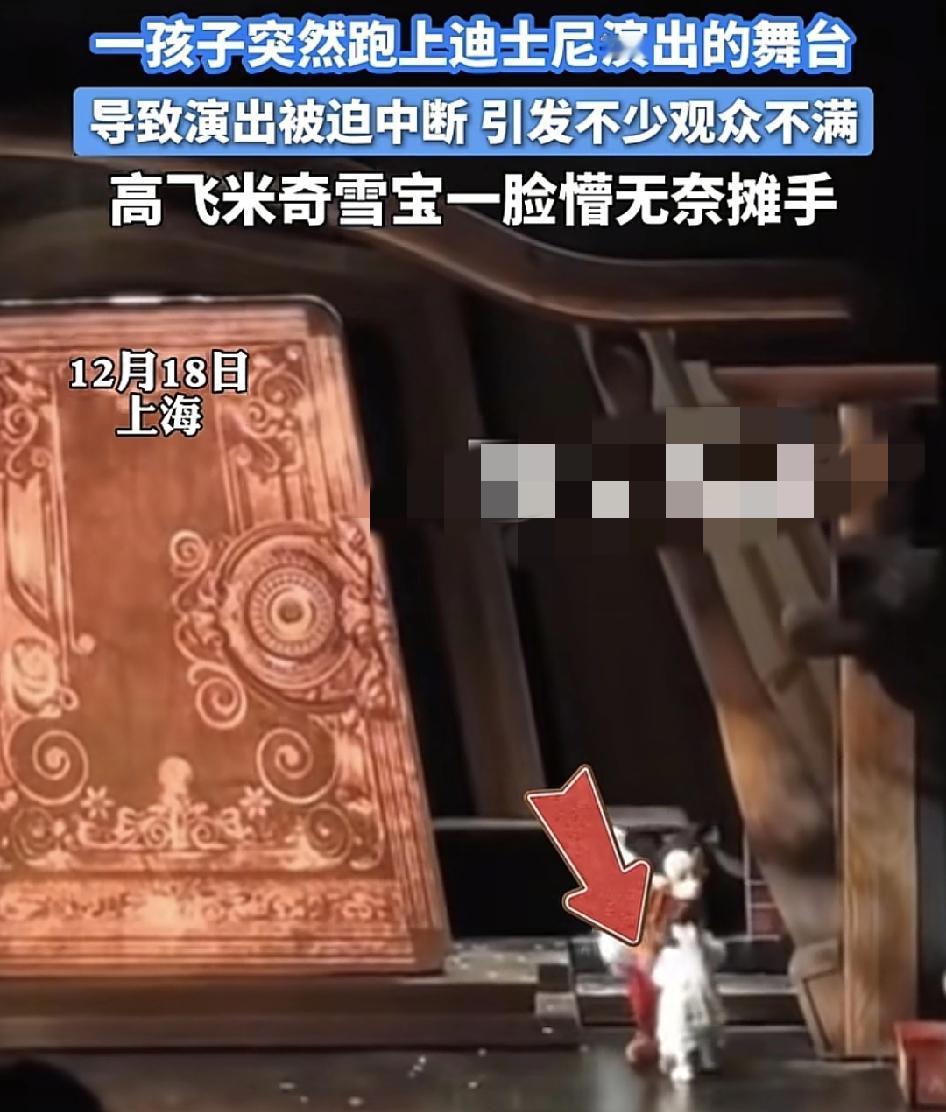 上海迪士尼乐园一名五六岁的孩子突然跑上正在演出的舞台，导致演出被迫中断，引起了现