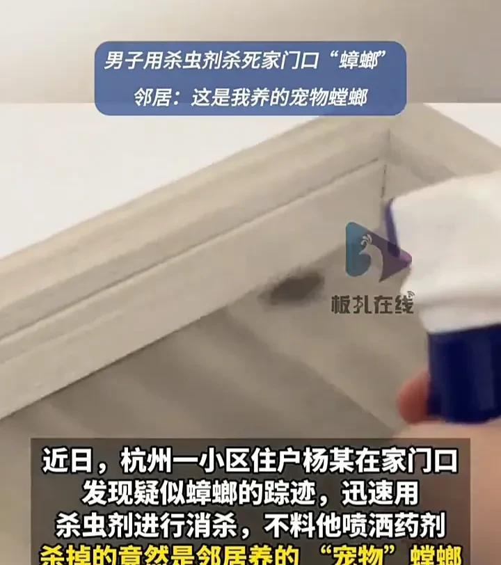 简直太离谱了！近日，浙江杭州一小区内，一名男子在家门口发现了疑似蟑螂的痕迹，于是