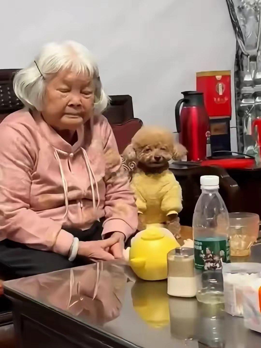 养的狗越来越像主人~🤣🤣​​​