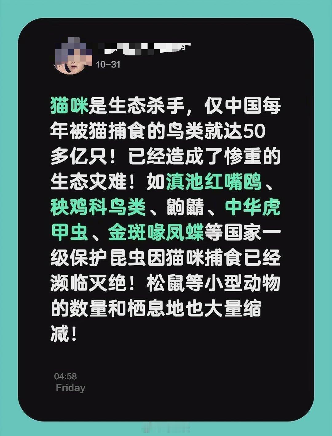 国内网友逐步也开始关注流浪猫对生态造成巨大伤害了。这是好的现象。