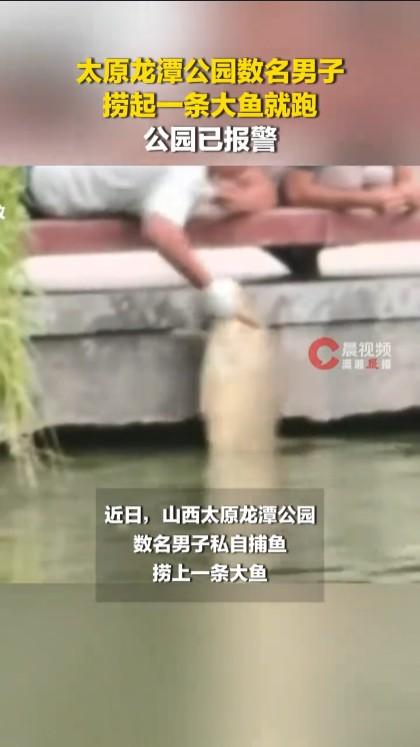山西太原有几个年轻小伙子在公园捞一条大的景观鱼，然后就跑开了，公园已报警。这些男