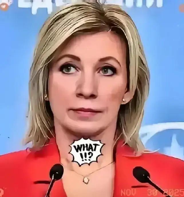 俄罗斯传来新消息！3月20号了家人们，今天刷屏的大新闻必须得唠唠！俄罗斯外交