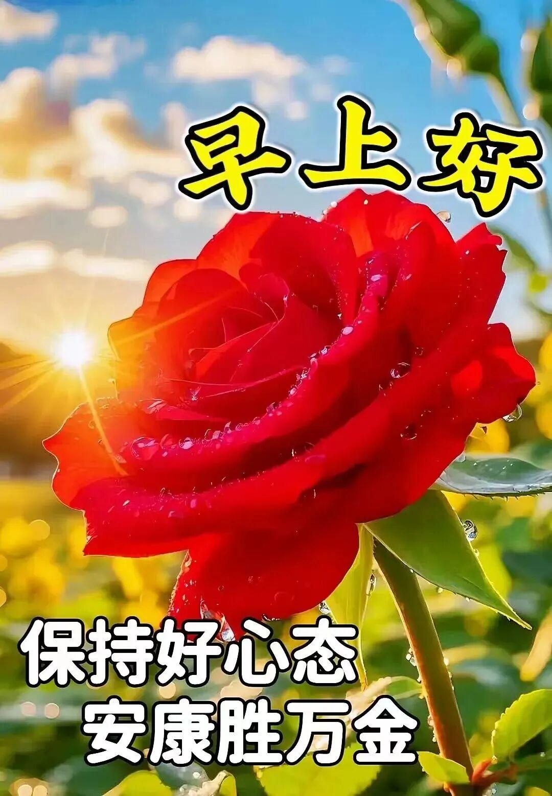 人活着，开心自在就够；亲人之间，时常惦记就好；老友之间，不忘来往就行。一辈子什么