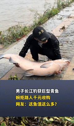 “假慈悲！”9月28日湖北鄂州，一男子在长江边上钓鱼时，前一秒刚钓上来了一条近6