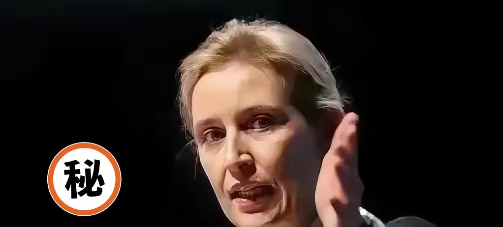 德国政坛今天炸了锅！德国选择党联合主席爱丽丝·魏德尔——那位向来敢说敢言的女大佬