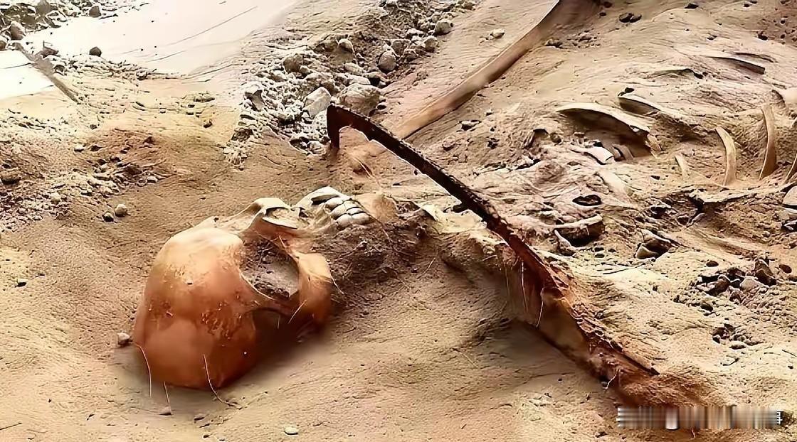 河南舞钢，一台挖掘机挖出了1068具遗骸。司机一铲子下去，看到不对劲，当场关了发