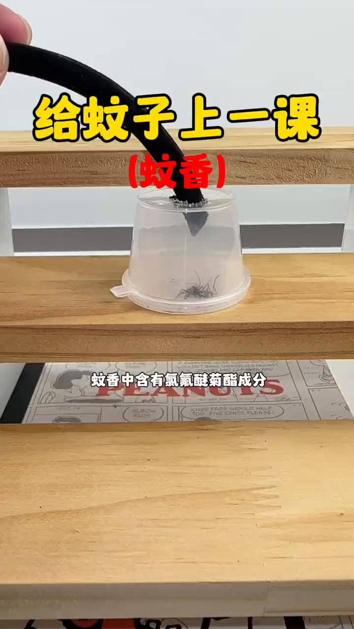给蚊子上一课(蚊香)。臭不要脸的两蚊子敢亲我脚，用小盒子悄悄地罩住它们，都喜欢