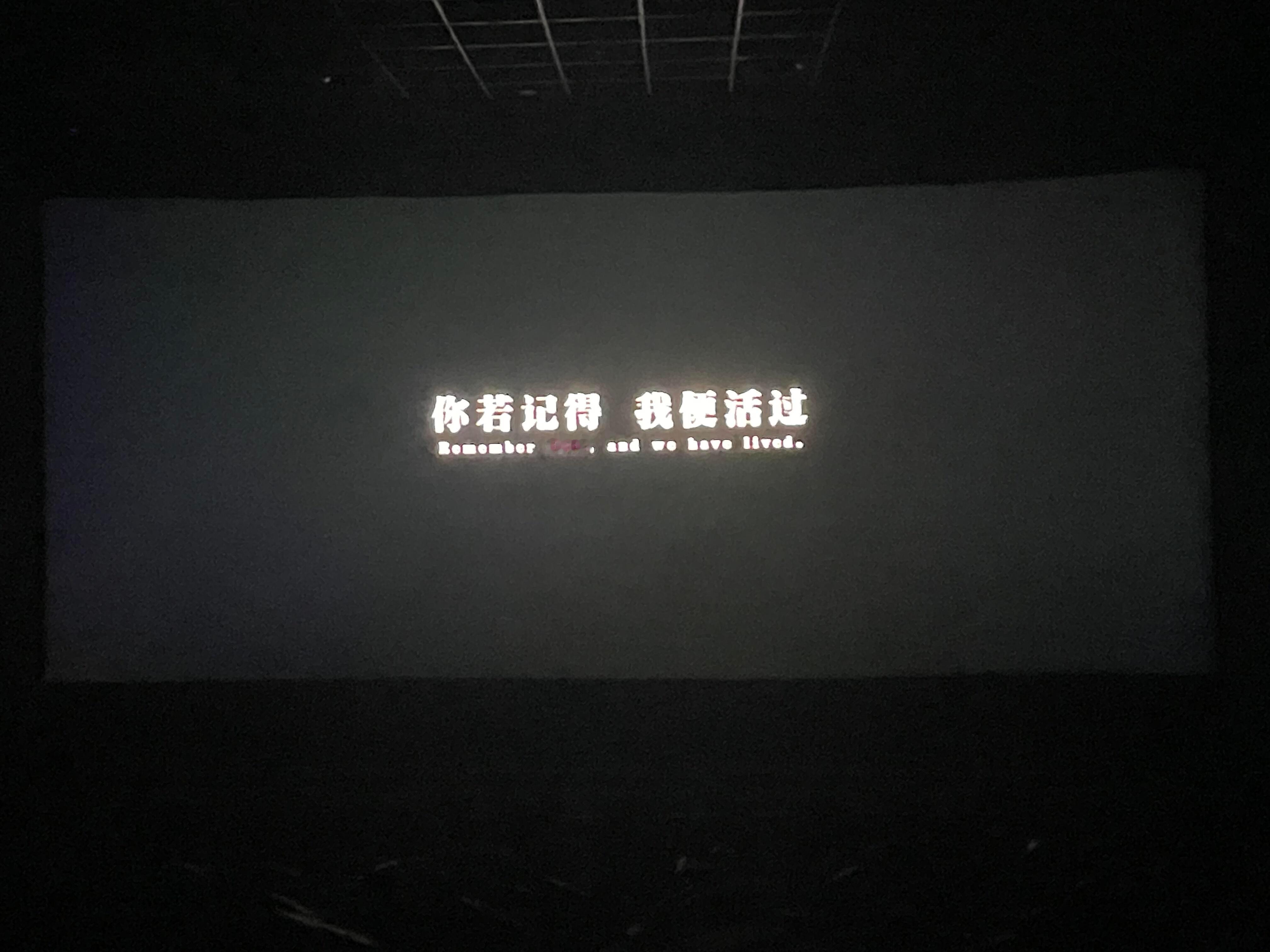 731你若记得我便活过我看《731》电影都是会把自己带入到电影中，所以全程都揪着