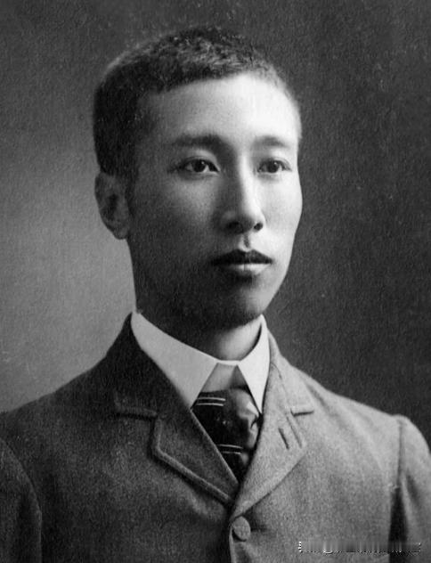 杨度为了救国，把除了卖国投敌的方式都尝试了一遍。最后一次选对了，却天不假年。