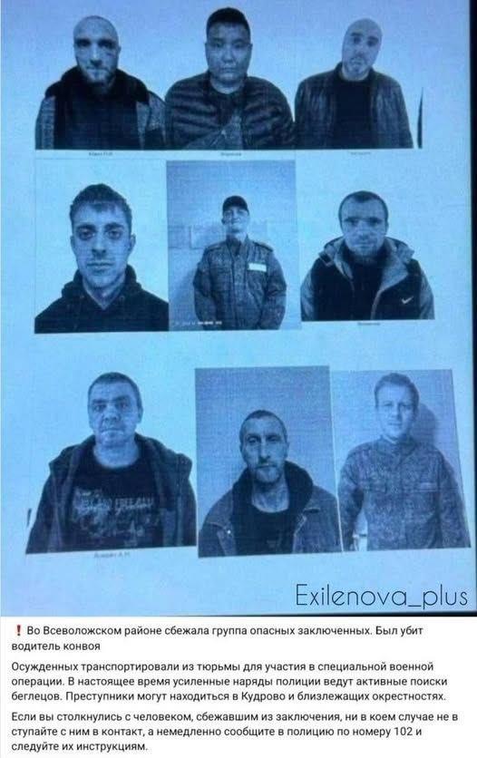 九名罪犯不想去乌克兰打仗，杀死押送人员后逃了他们在监狱里服刑后签了上俄罗斯前线合