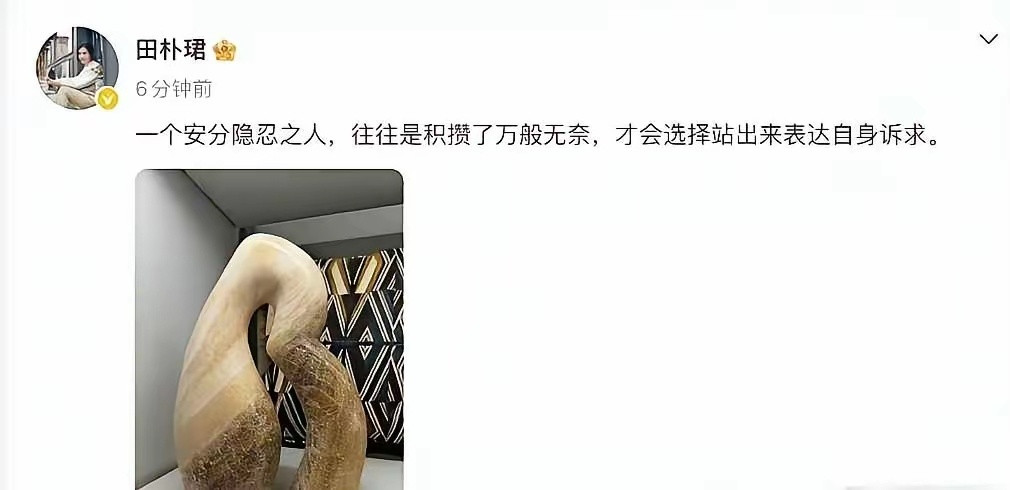 田朴珺突然发这个，啥意思？