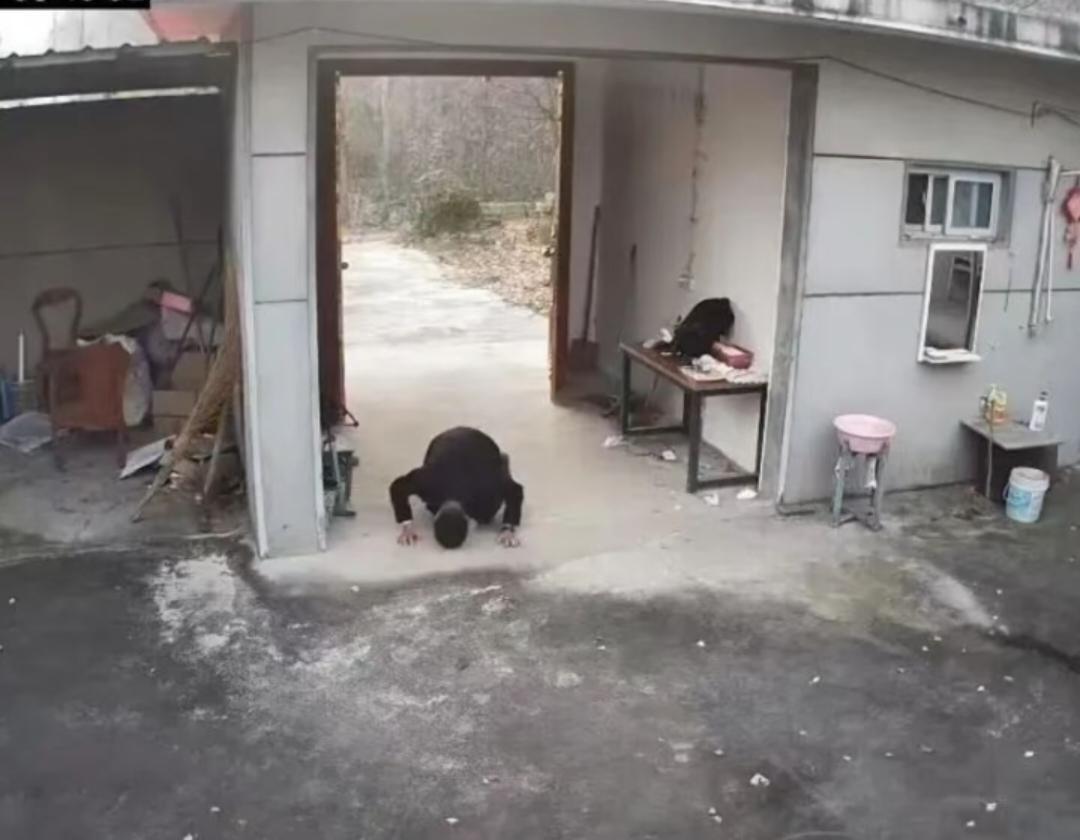 80后男子跪别已无亲人的老宅近日范先生发布了自己回老家的视频，引发网友的热议。