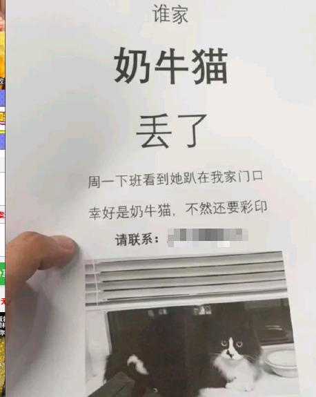 谁家奶牛猫丢了