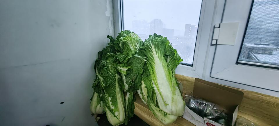 今年的大白菜怎么了，终于翻身了，再也不是以前的白菜价了。前天上午去村里超市买了