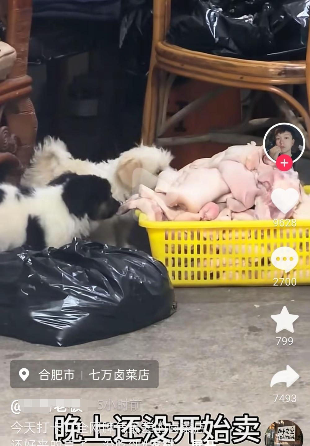合肥怪老头的卤菜店麻烦大了，被拍到狗啃食摆在地上的食材，目前博主回应已经打电话给