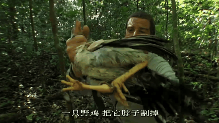 树林里大叔大妈大野鸡_小树林大叔日大妈_大妈大叔树林曰b图片