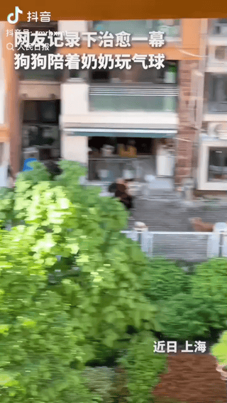 “上人民日报了！”一名男子在自家阳台散心，无意间望向楼下，顿时被惊讶到了：一位老