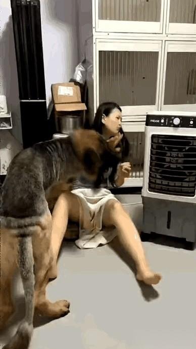 今天在街上，看到个小姑娘，真就一米六不能再多了。旁边跟着个大家伙，罗威纳，那脖