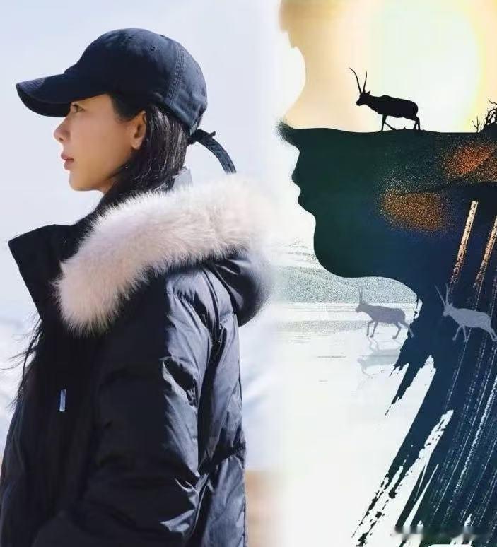 只能说一模一样​​​