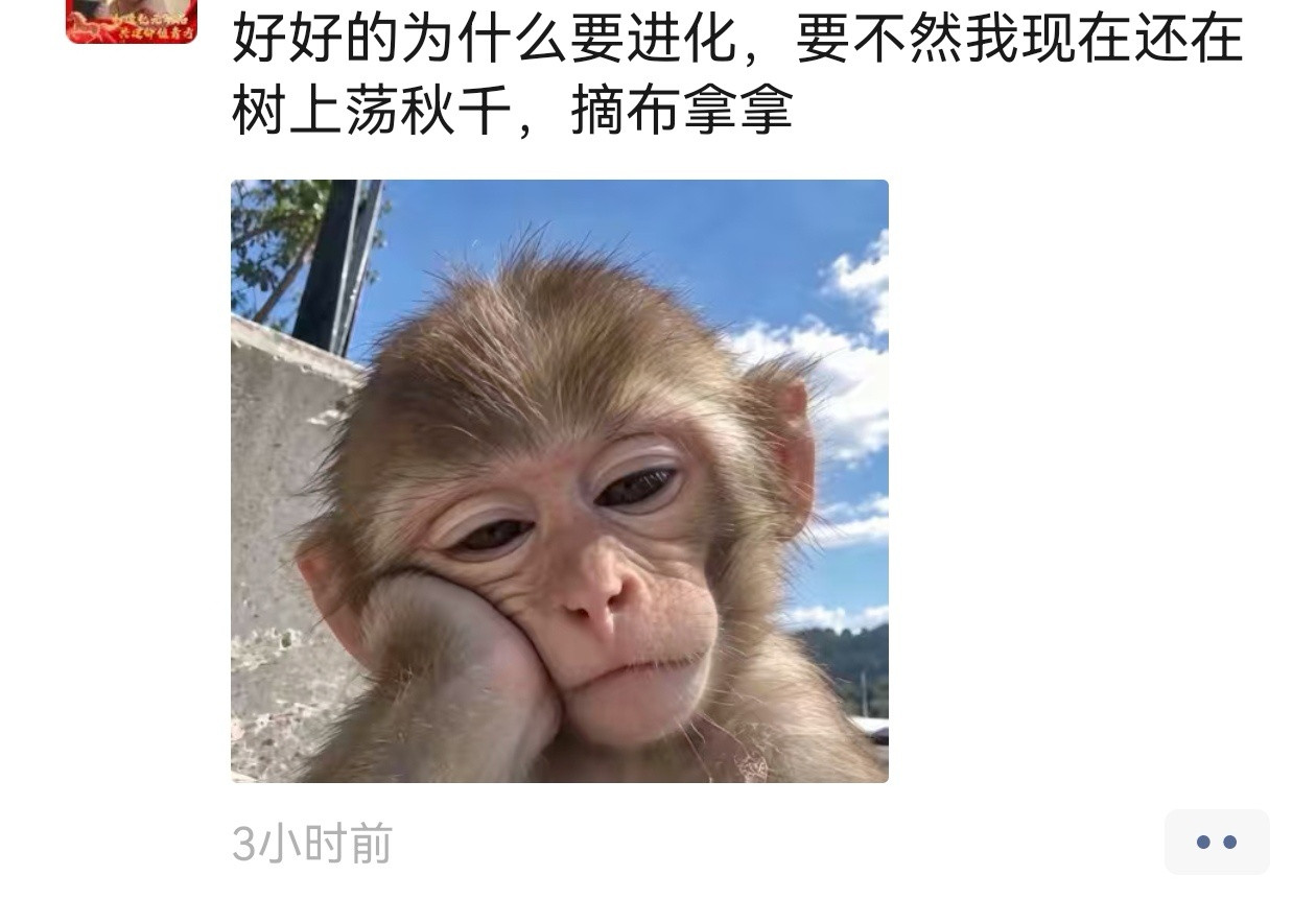 好好的为什么要进化……​​​