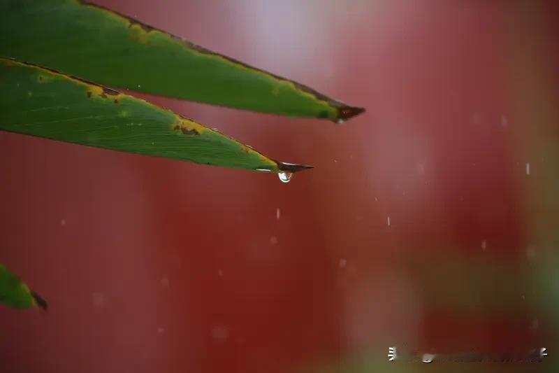 对对联可太有意思啦！看到“风风风，风吹翠殿”这个下联，我也忍不住开脑洞。我想的上