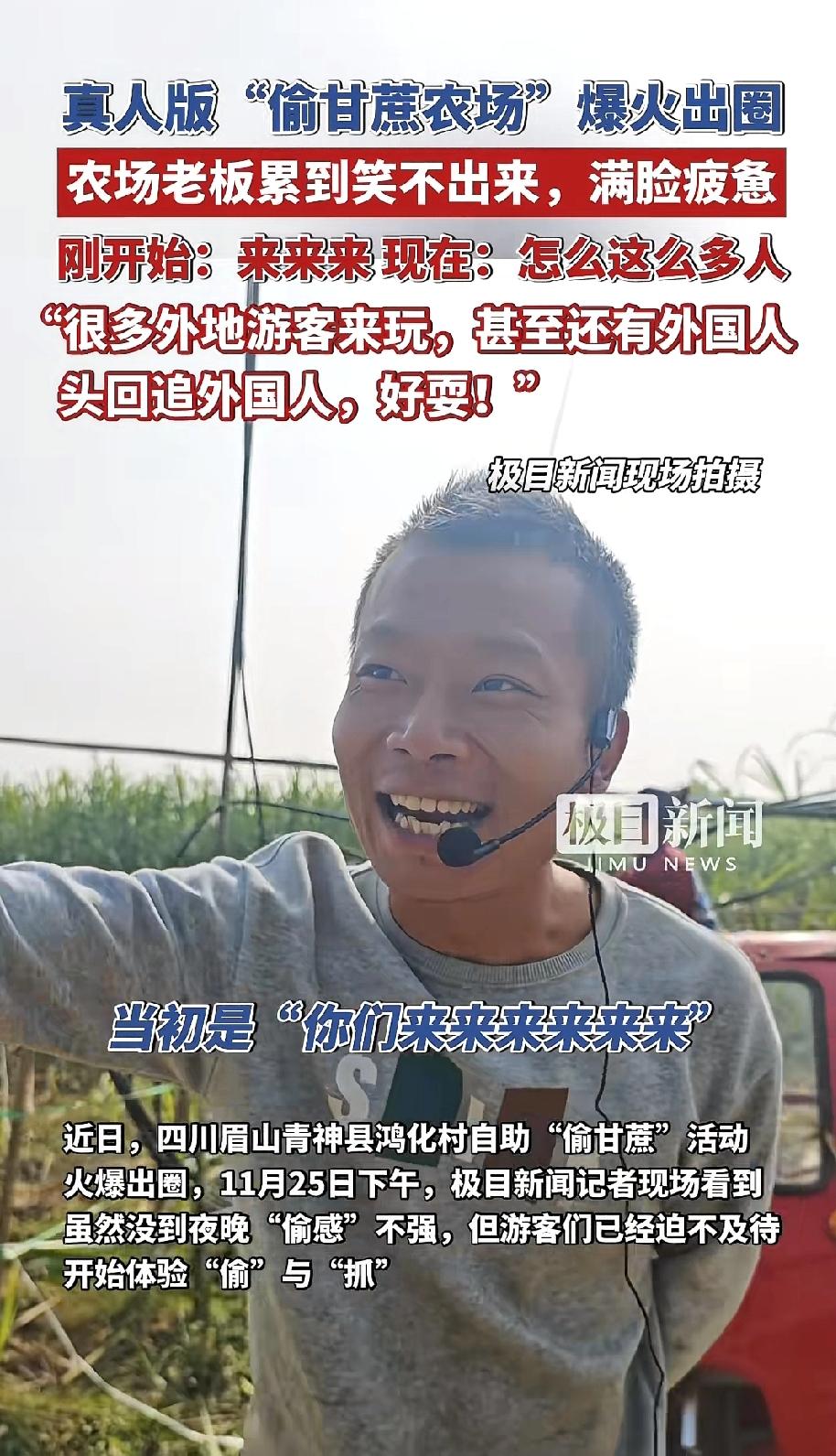 你们喜欢吃甘蔗吗，听说还有个人住在附近，没有偷，拿了根甘蔗边走边吃边散步，还被几