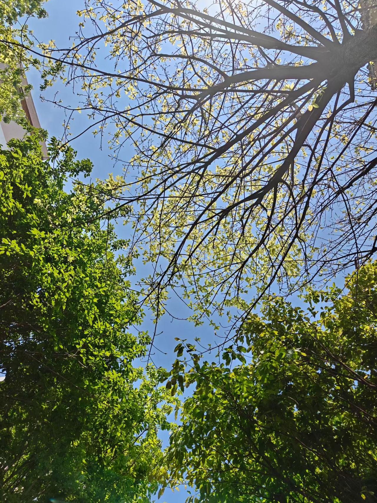 五个不丢人，五个丢人1、不结婚，不丢人2、没房子，不丢人3、没车子，不丢人