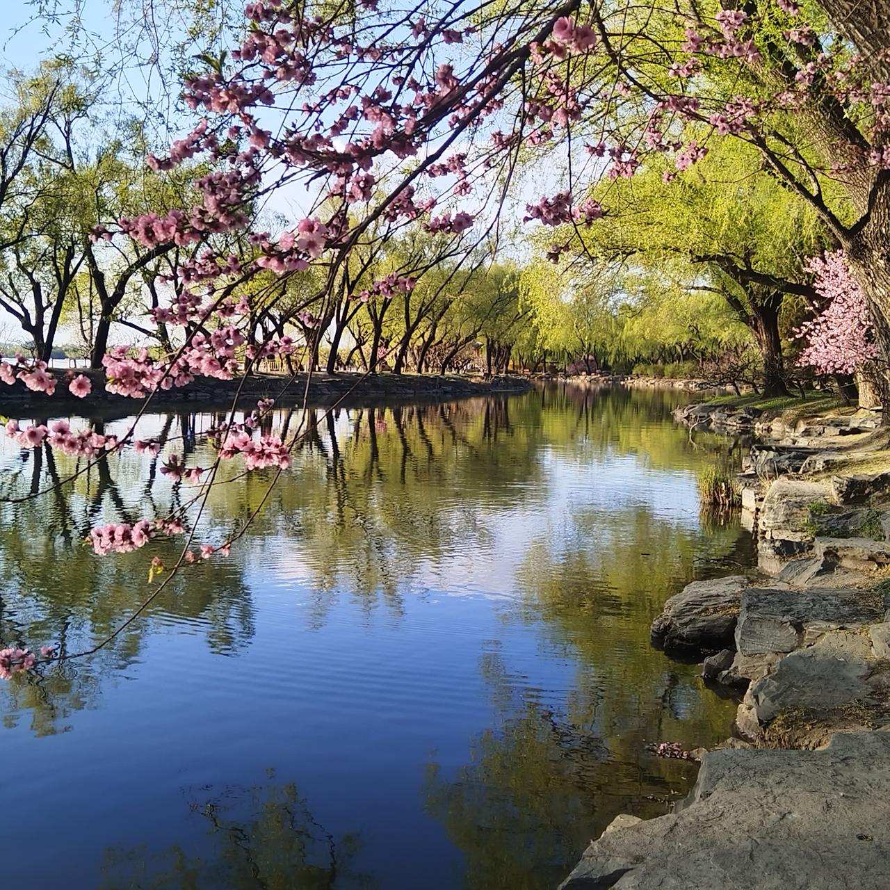 北京客流量最大的十个公园（故宫一般单独列为文博景区，不算普通公园）：1.