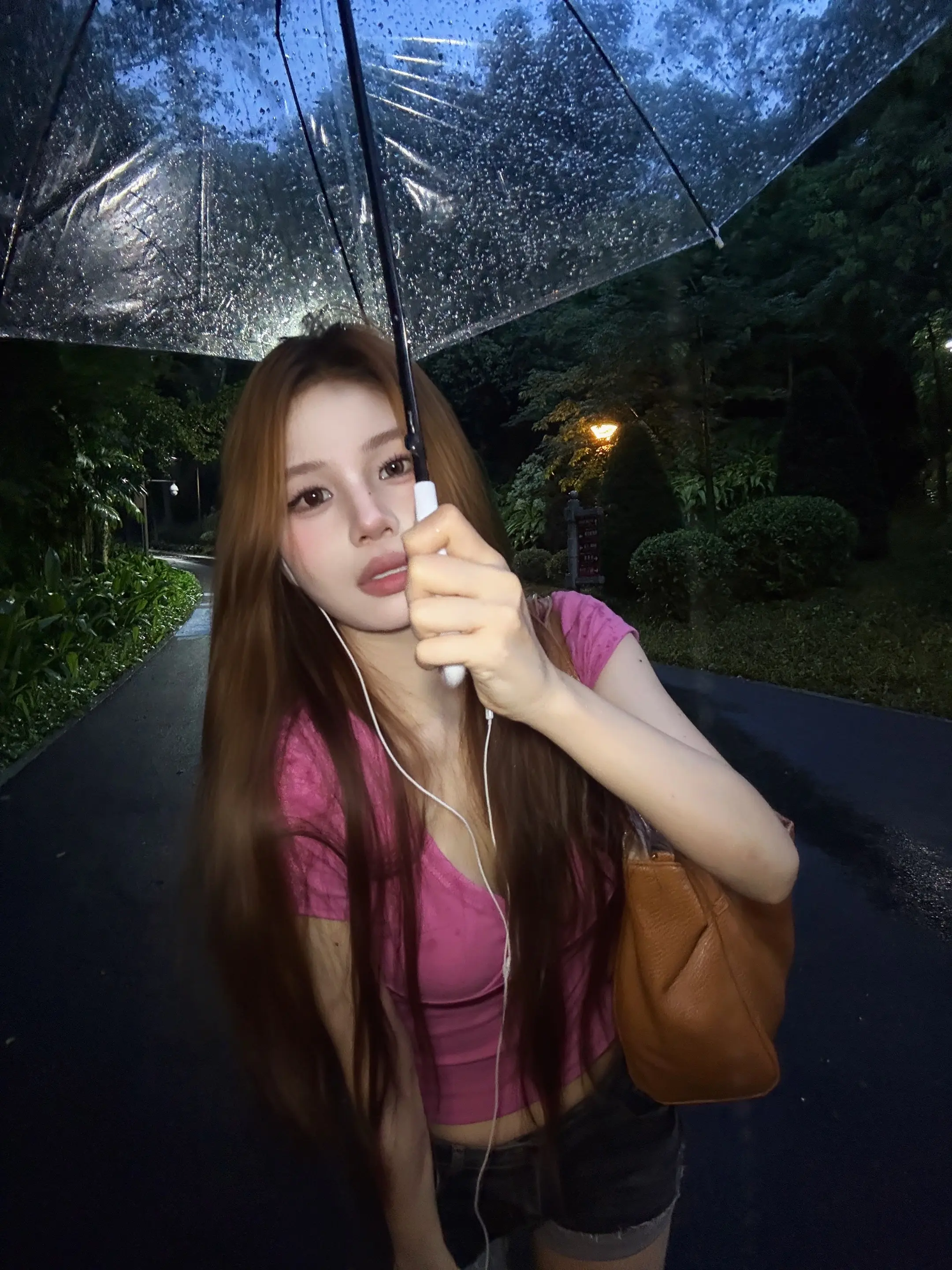☔️。雨天 潮湿 森林