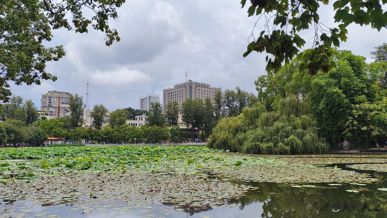 今晚南京这场大雨来势汹汹啊！受第13号台风“白海豚”影响，南京市气象台都发暴雨黄