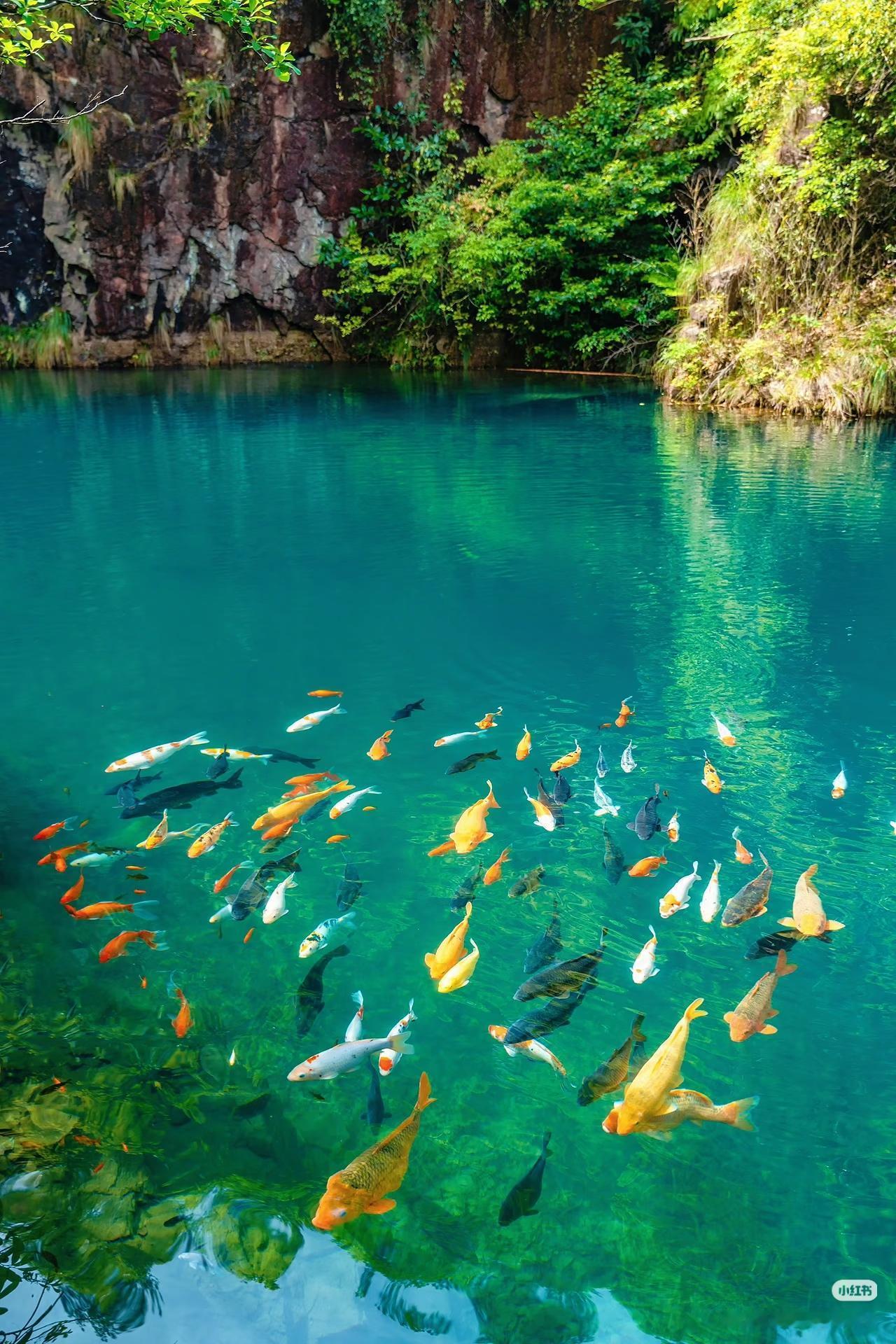 不是九寨沟‼️推荐杭州周边被低估的宝藏地不是九寨沟‼️是浙江杭州，去不腻的