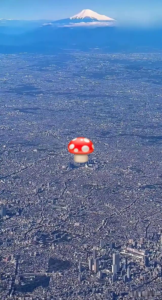 在这里种一棵蘑菇应该不犯法吧如果被限那也认了