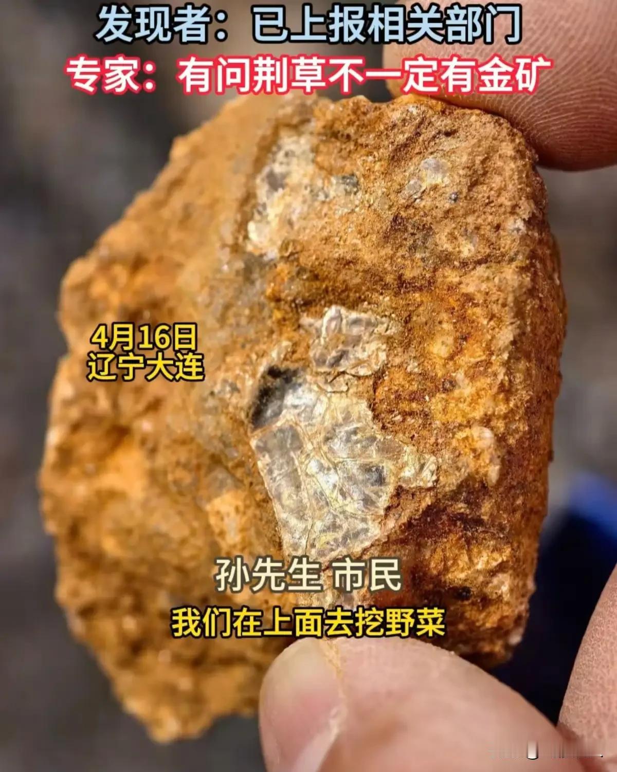 8岁男孩挖野菜喊出“山下有黄金”，一个举动引全网点赞：这才是最珍贵的宝藏！4