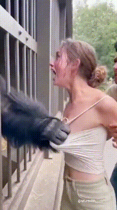 观景也有风险，不知道这大猩猩是友好的表示，还是无差别的行为，总之看动物要保持安全