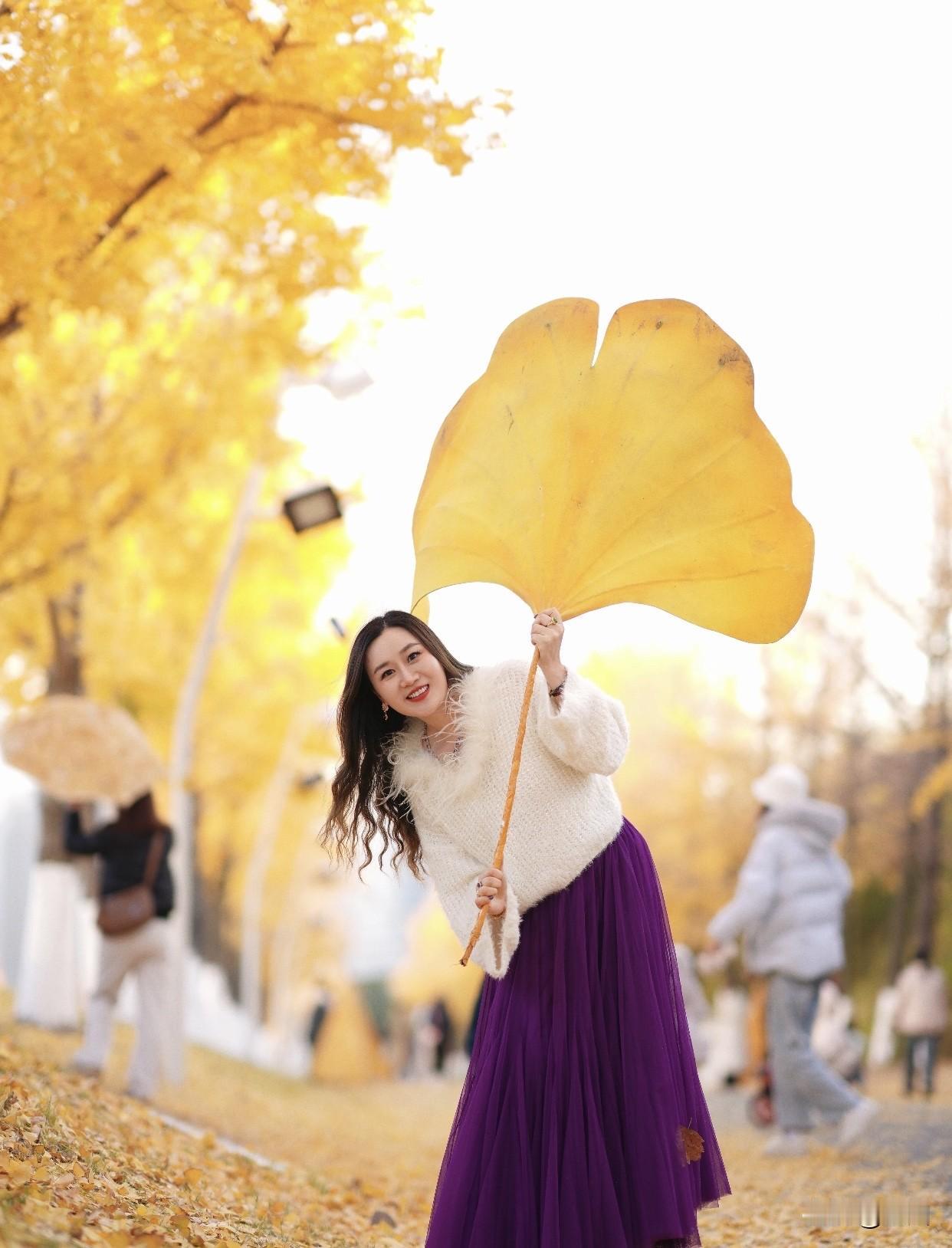 分享一下你随手拍下的照片秋风起，落叶舞，美人倚树思。