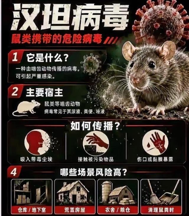 03年非典甩锅中国，20年新冠污名化中国，26年汉坦病毒来袭，他们又故技重施，备