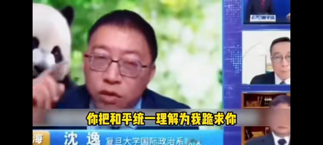 沈逸教授不屑台独，凭什么跪求你回来？如果你们理解成讨好你，你就错了，金一南教授