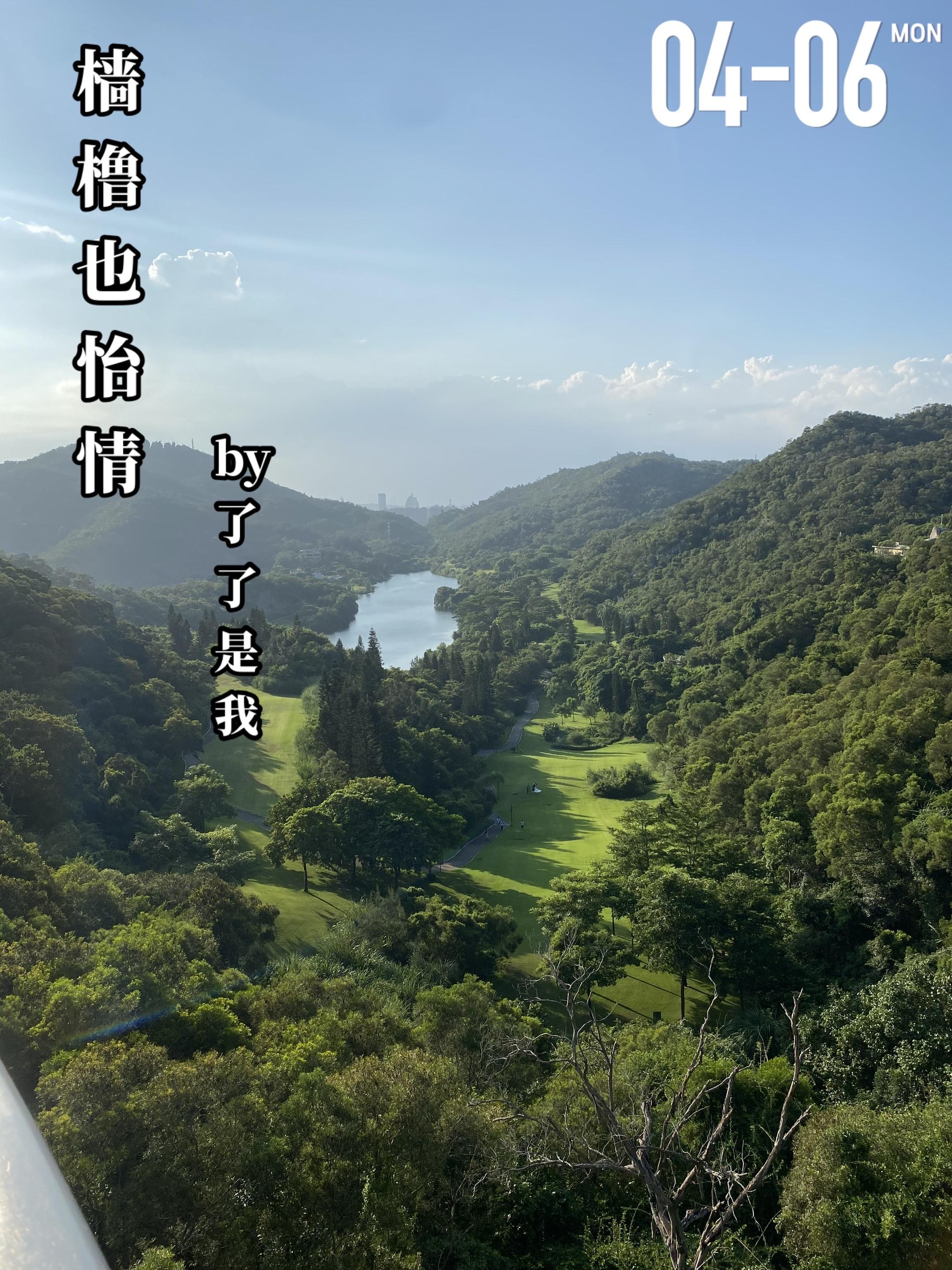 《樯橹也怡情》by了了是我。林怡情（女主）是民政局的婚姻登记员，见过形...