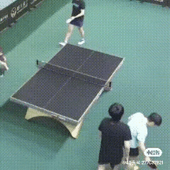 从前天到今天，莎头霸屏了，看见他俩开心，我们也跟着开心。[大笑]刚刚发现两小只