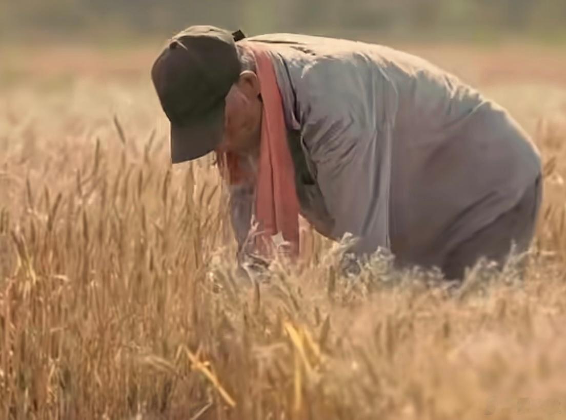 给老农民多涨养老金在中国，老农民的养老金，太低了！要给他们涨养老金，而且，越是高