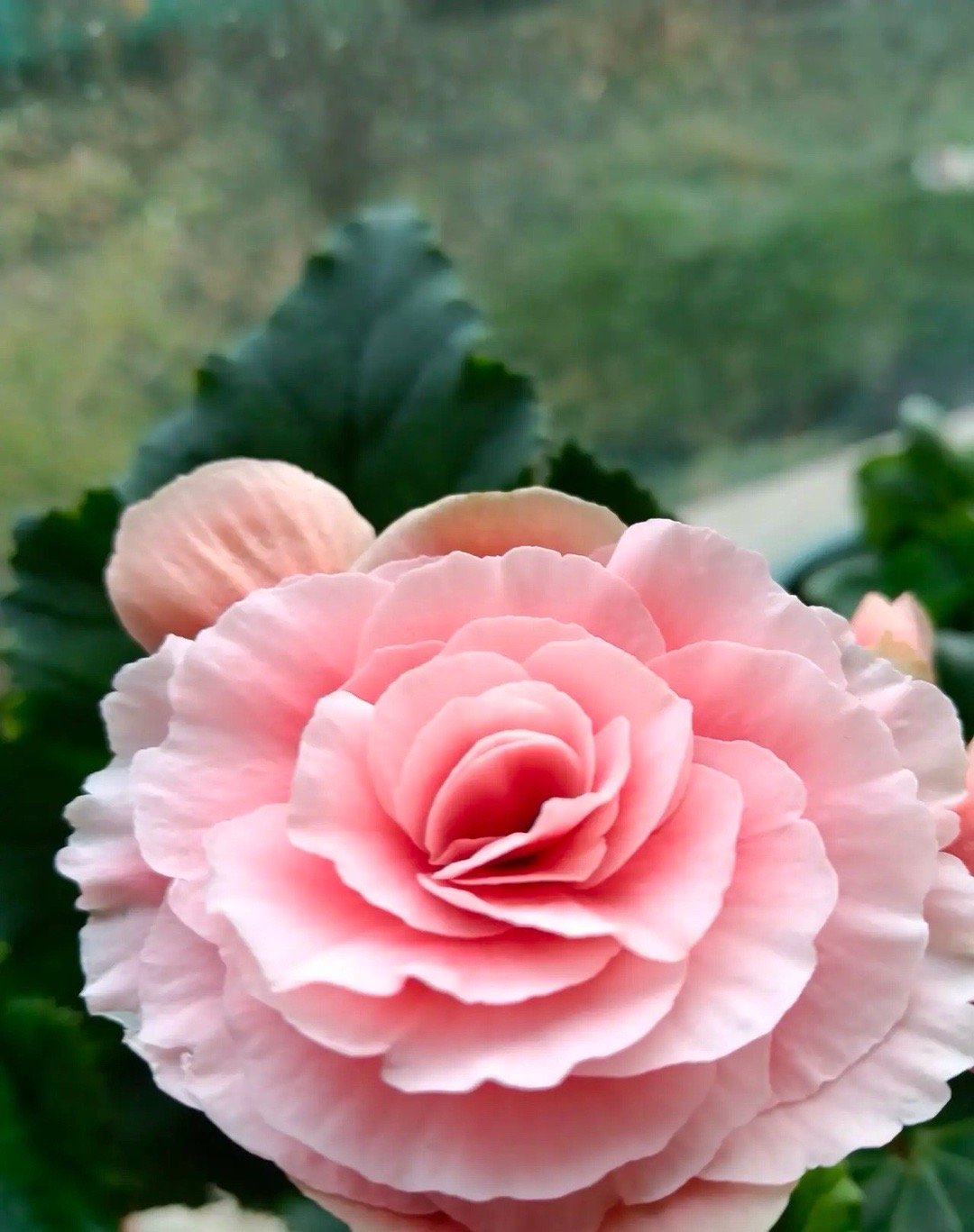 午评，继续格局。静等花开