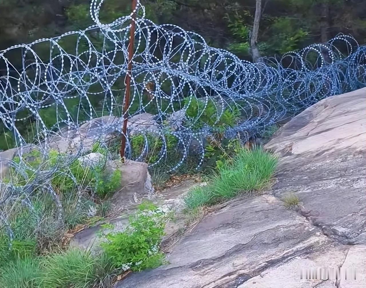 泰山135公里刀片刺绳围山，这么多野生动物，活动通道被堵了！景区沿泰山外围山