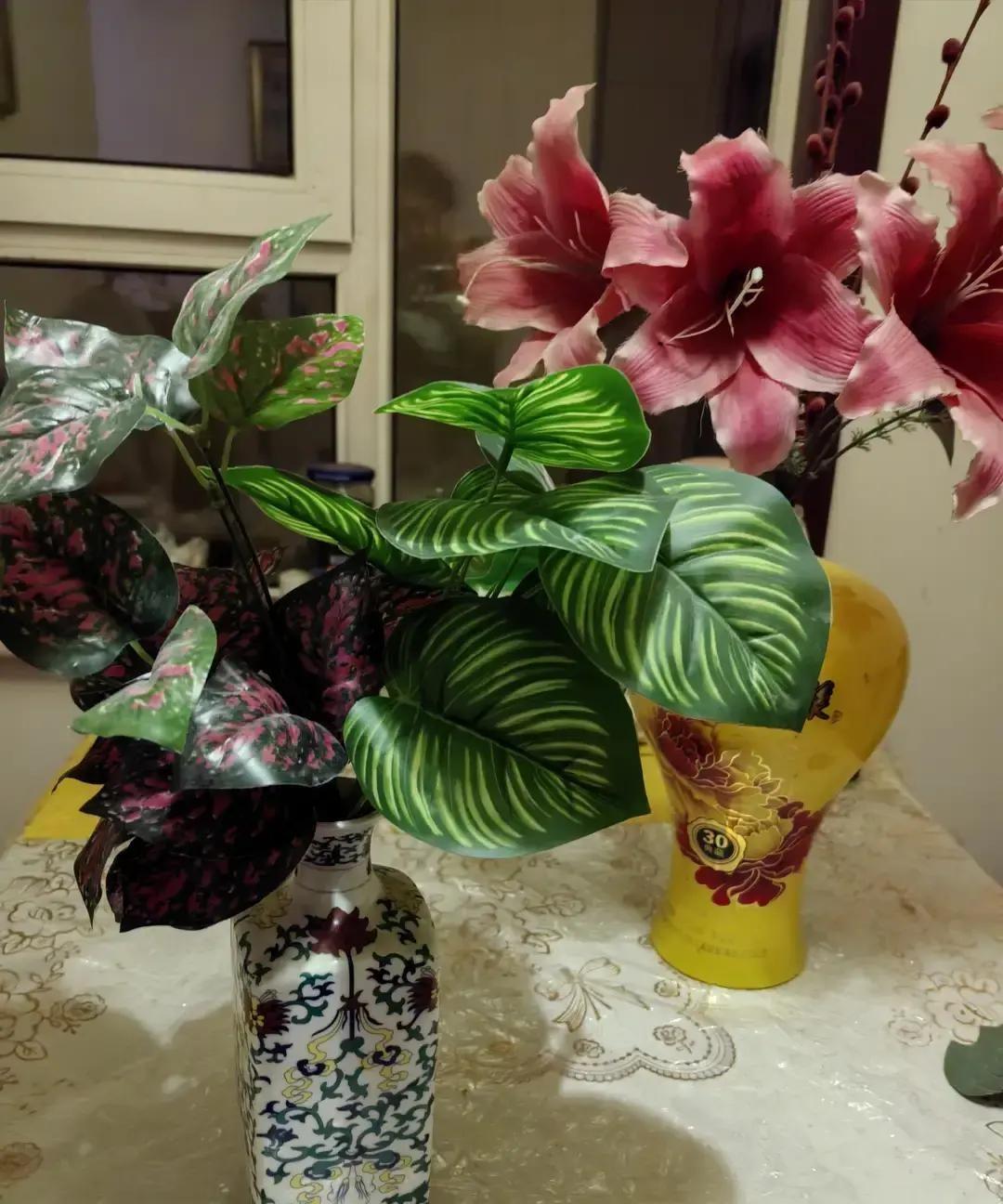 老太太把外卖盒洗得锃亮继续装菜，塑料袋晾在阳台排成一排，剩饭菜热到第三顿还舍不得