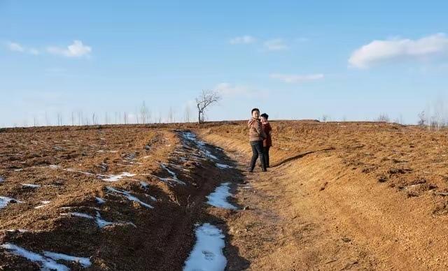 2.4万亩地只靠2%人种？这个村偏不分田单干，却攒下25亿身家就在年轻人都往