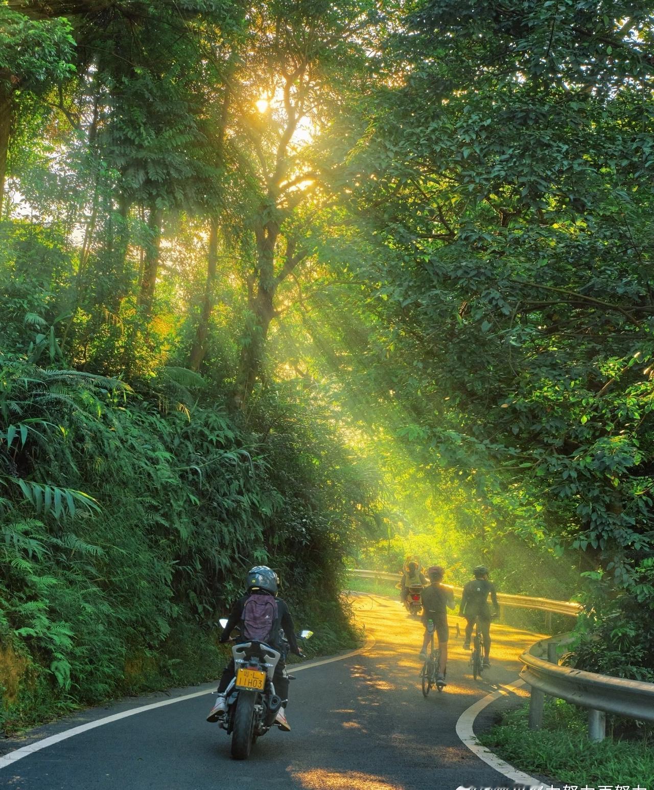 在广州！这条值得N刷的徒步路线简直太治愈了这段时间广州的天气简直太爱了🌞当