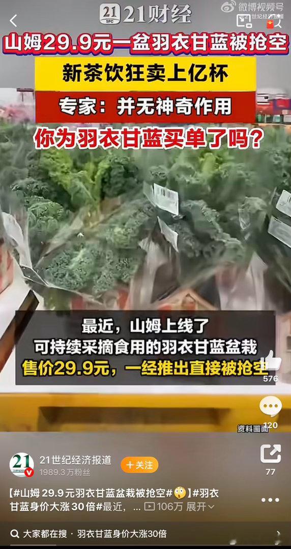 山姆29.9元羽衣甘蓝盆栽被抢空这又是什么操作