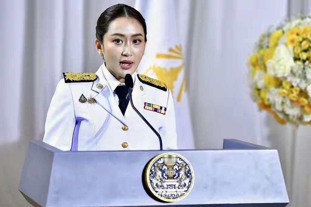 泰国政坛再起波澜：他信假释后联手为泰党，借2024年参院选举舞弊案（涉138参议
