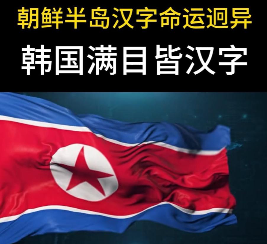 1948年韩朝分裂后，两国不约而同地开展了废除汉字的运动。开始的时候，朝鲜做得非