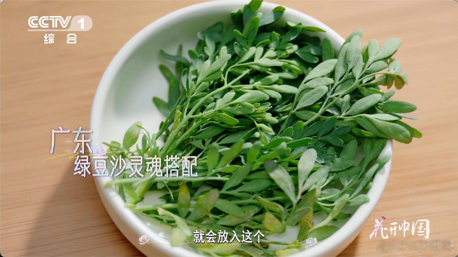广东绿豆沙为啥加臭草煮绿豆汤怕有豆腥味？有妙招！加点“臭草”（芸香草）就行。加